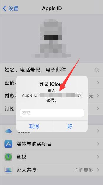 怎么查看自己的iPhoneID