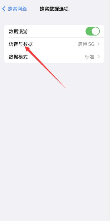 iPhone5g设置在哪里