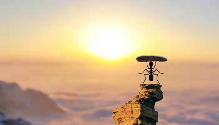 小蚂蚁顺口溜儿歌  小蚂蚁顺口溜儿歌歌词