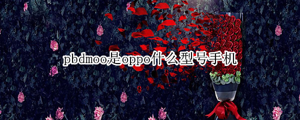 pbdmoo是oppo什么型号手机（oppo pbemoo是什么型号手机）