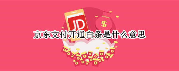 京东支付开通白条是什么意思（京东里面的开通白条支付是什么意思）