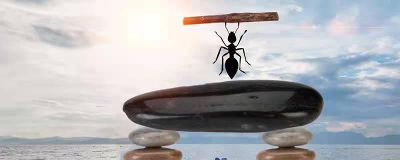 小蚂蚁顺口溜儿歌  小蚂蚁顺口溜儿歌歌词