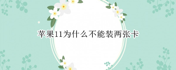 苹果11为什么不能装两张卡 苹果11能不能装两张卡