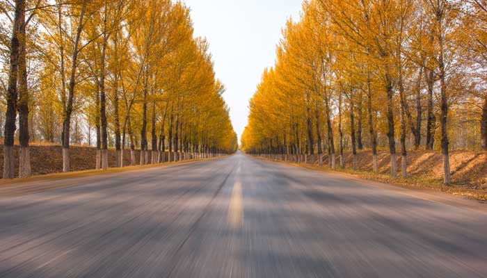 温度计量单位	 温度计量单位有哪些