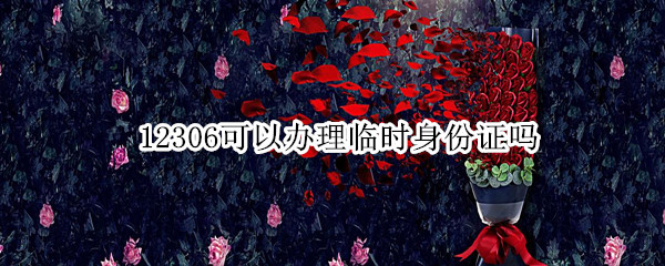 12306可以办理临时身份证吗（临时身份证可以在12306买票吗）