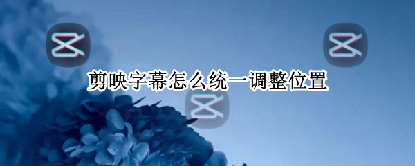 剪映字幕怎么统一调整位置（剪映怎么把字幕调到同一位置）