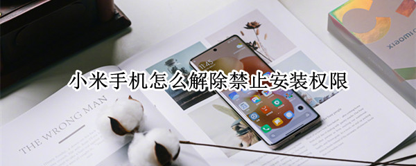 小米手机怎么解除禁止安装权限 小米安装权限被禁止应该怎样才能解开