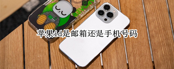 苹果id是邮箱还是手机号码（苹果id账号是手机号还是邮箱）