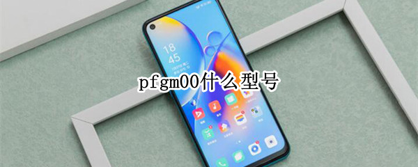 pfgm00什么型号 PFGM00什么型号