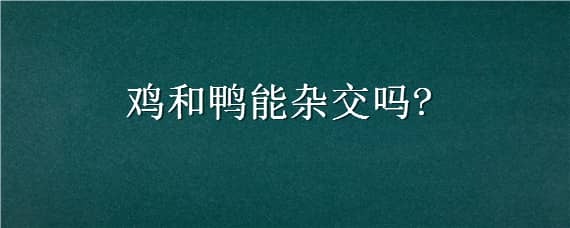 鸡和鸭能杂交吗?_养鸡人必看