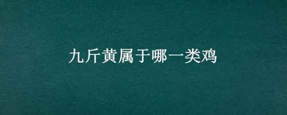 九斤黄属于哪一类鸡