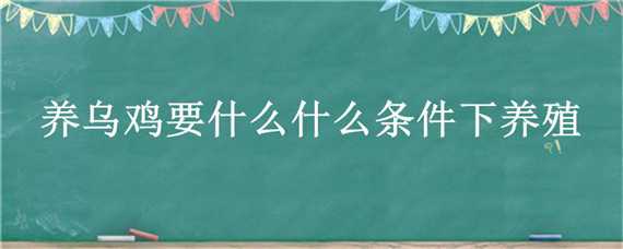 养乌鸡要什么什么条件下养殖