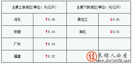 猪评：猪价持续上涨（今日猪市评析:猪价上涨）