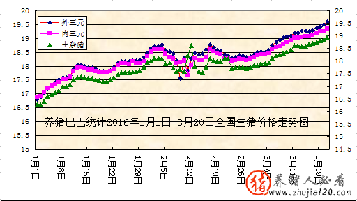 养猪巴巴统计2016年1月1日-3月20日全国生猪价格走势图



