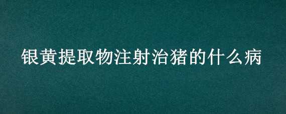 银黄提取物注射治猪的什么病 银黄针剂对猪什么病有特效