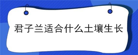 君子兰适合什么土壤生长