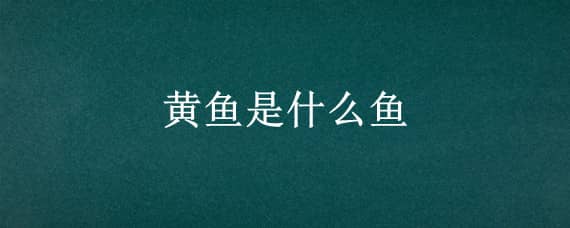 黄鱼是什么鱼 不是蒜瓣肉的黄鱼是什么鱼