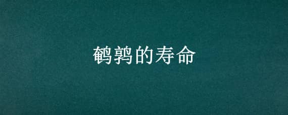 鹌鹑的寿命（鹌鹑的寿命有多长时间）