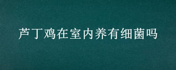 芦丁鸡在室内养有细菌吗 芦丁鸡可以养室外吗