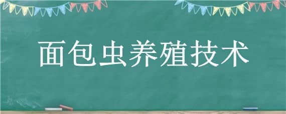 面包虫养殖技术（面包虫养殖技术视频面包虫怎样繁殖）