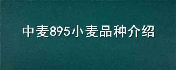 中麦895小麦品种介绍