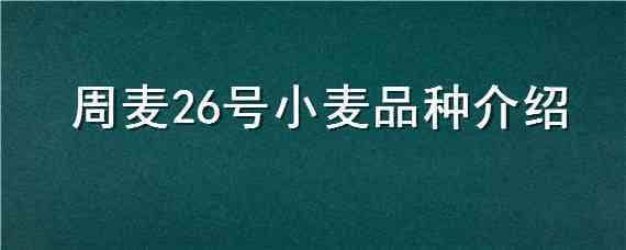 周麦26号小麦品种介绍