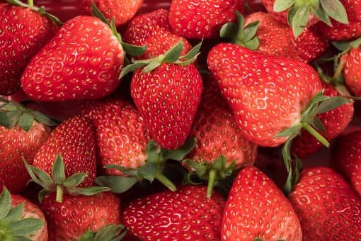 草莓出血热是什么 吃草莓得出血热