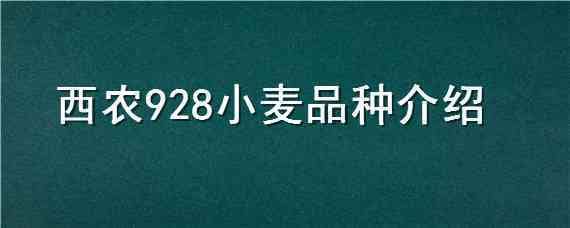 西农928小麦品种介绍（小麦新品种西农805）