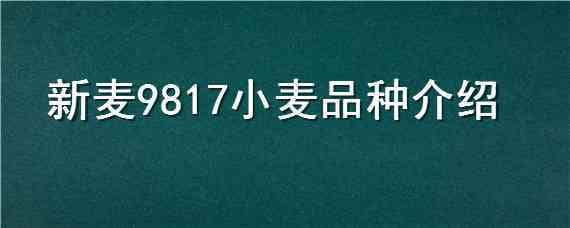 新麦9817小麦品种介绍（新麦9817高产吗）