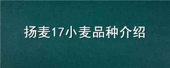 扬麦17小麦品种介绍（扬麦27小麦品种）