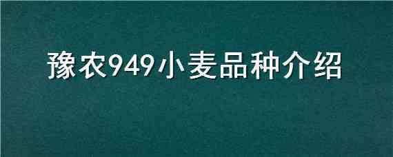 豫农949小麦品种介绍 豫农908小麦品种