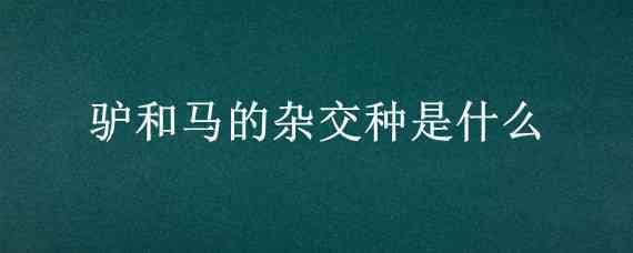 驴和马的杂交种是什么