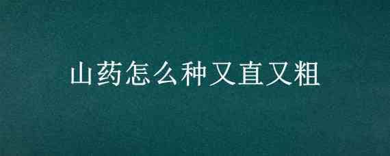 山药怎么种又直又粗（山药怎样种长得直）