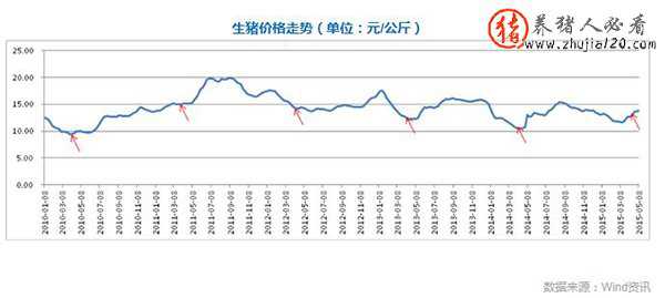 2015年猪周期启动（猪周期几年一周期）