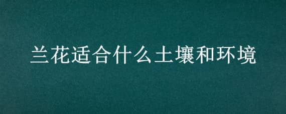 兰花适合什么土壤和环境 兰花适合什么样的土壤