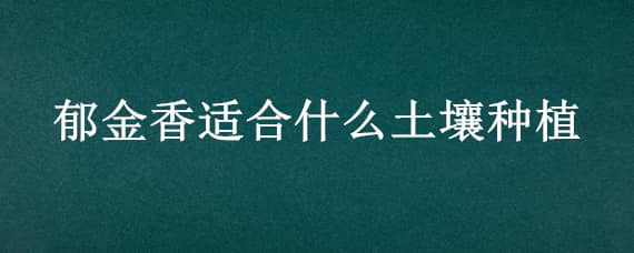 郁金香适合什么土壤种植（适合郁金香种植的土壤类型）