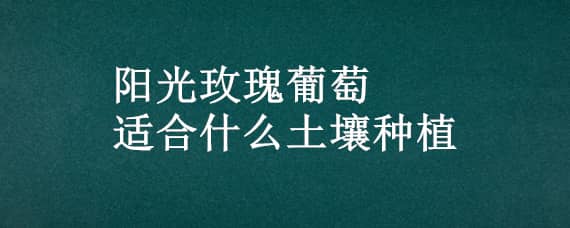 阳光玫瑰葡萄适合什么土壤种植