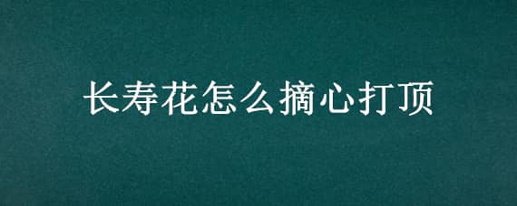 长寿花怎么摘心打顶 长寿花苗打顶与摘心技巧