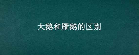 大鹅和雁鹅的区别