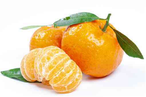 砂糖橘为什么叫夺命桔（砂糖橘杀手）