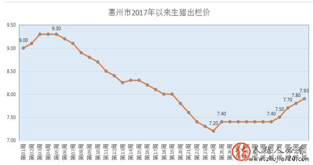 “二师兄”身价涨了！惠州生猪出场价格连涨4周