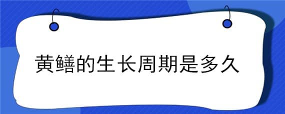 黄鳝的生长周期是多久（黄鳝的养殖周期是多久）