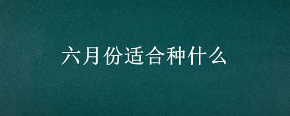 六月份适合种什么