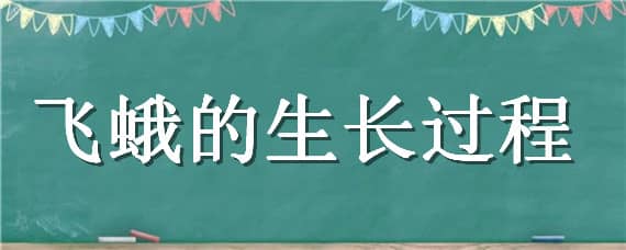 飞蛾的生长过程（飞蛾的生长过程是什么）