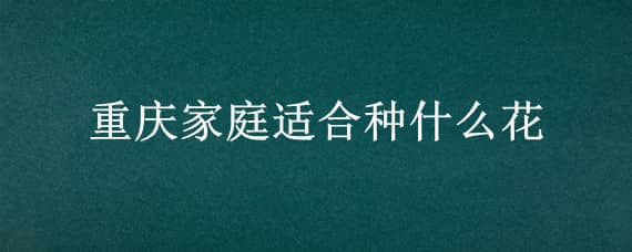 重庆家庭适合种什么花