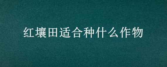 红壤田适合种什么作物 红土适应种植什么