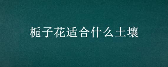 栀子花适合什么土壤 栀子花适合什么土壤养殖