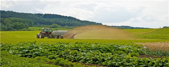 哪种肥料不属于有机肥料 哪种肥料不属于有机肥料芭芭农场