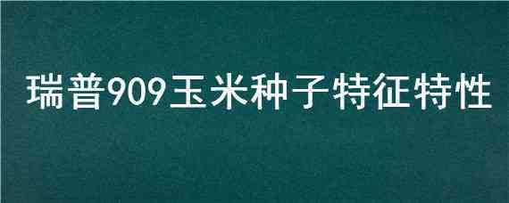 瑞普909玉米种子特征特性（玉米种子瑞普909种子特征）