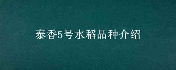 泰香5号水稻品种介绍